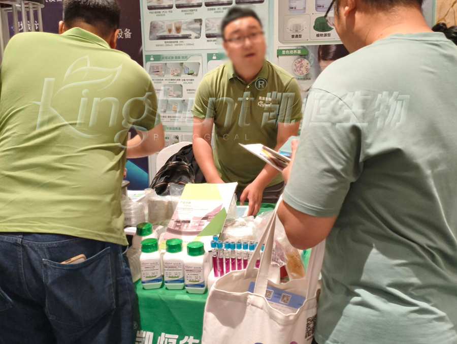 1753349115221430.jpg 濟公6.jpg
